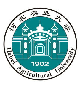 桥西河北农业大学